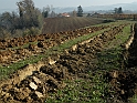 Campagna in autunno 3239.Terra arata per l'inverno